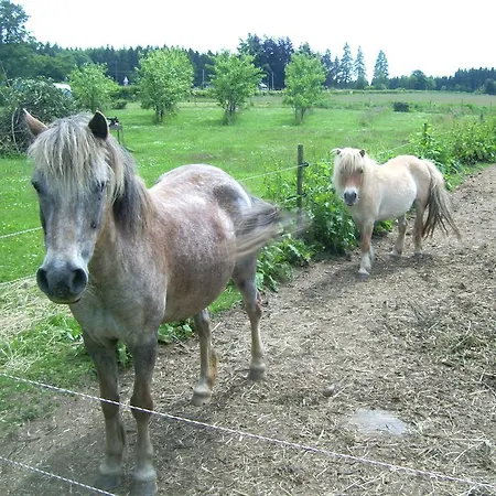 Vakantieboerderij Heidehof