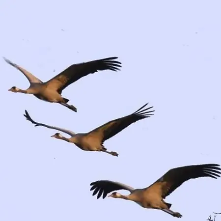 Heidehof * Hellenthal