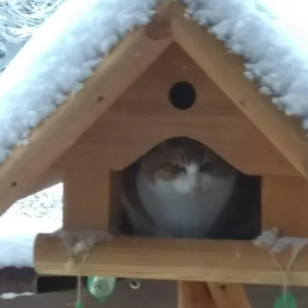 Feriegård Heidehof *