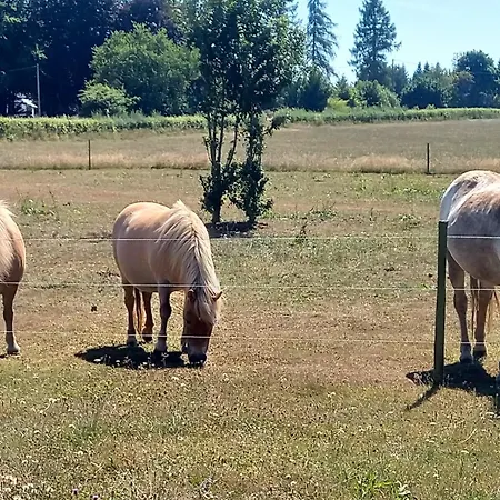 Feriegård Heidehof Hellenthal