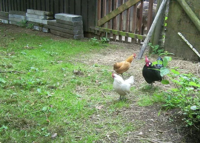 Heidehof Хелленталь