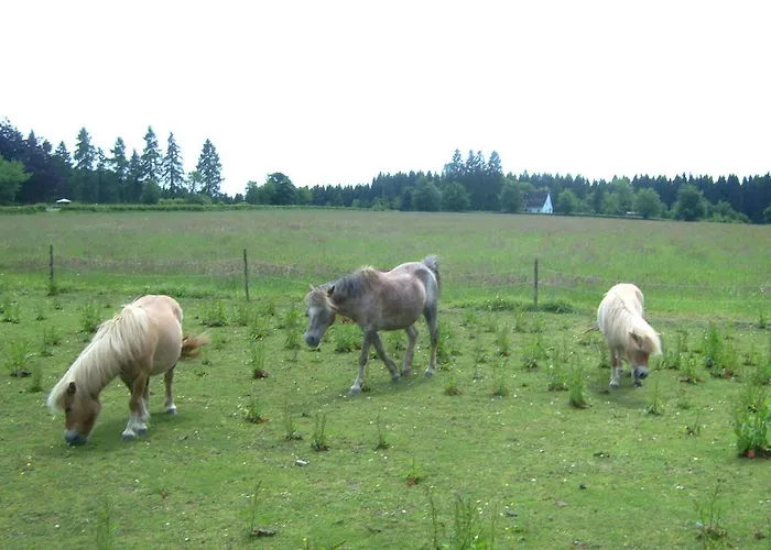 Heidehof Хелленталь