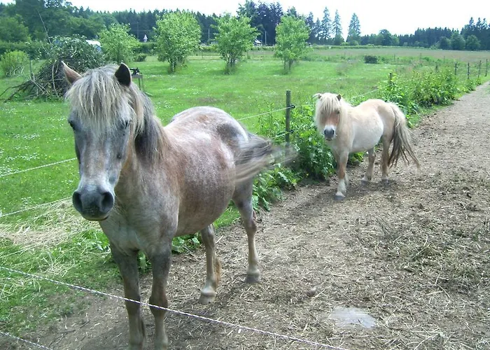 Vakantieboerderij Heidehof