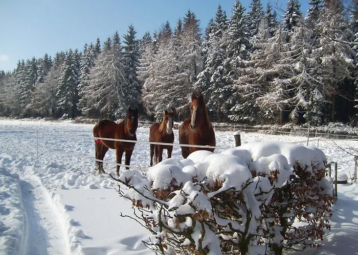 Heidehof Фермерский дом