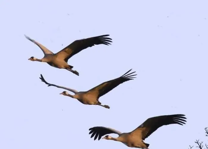 Heidehof * Hellenthal