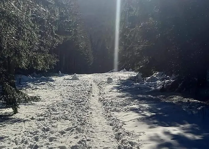 Heidehof Фермерский дом