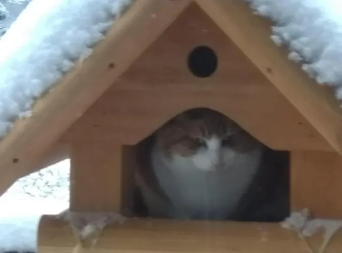 Фермерский дом Heidehof *