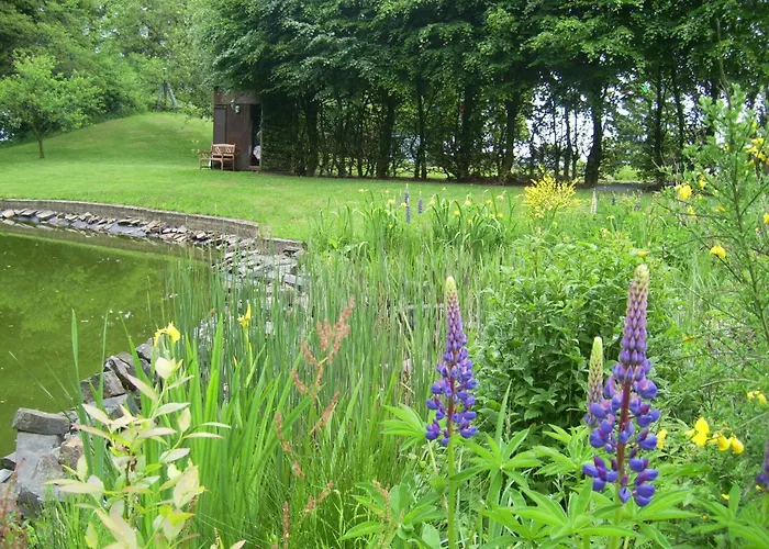 Heidehof Фермерский дом Хелленталь