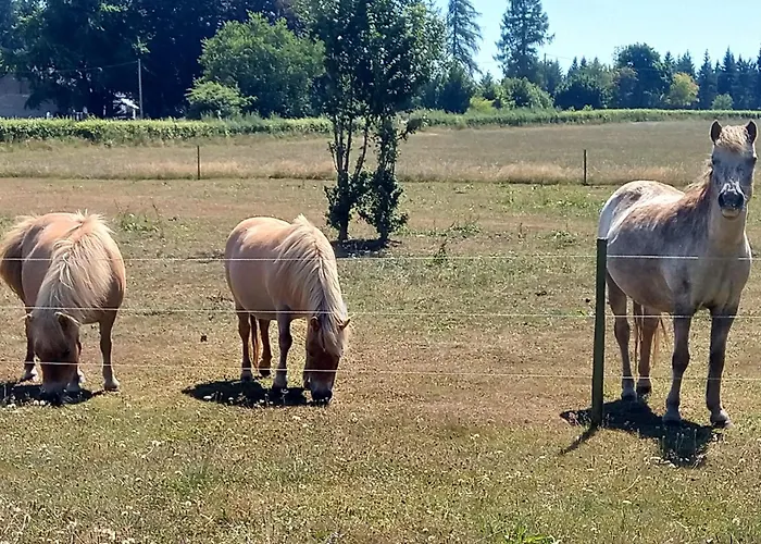 Vakantieboerderij Heidehof Hellenthal